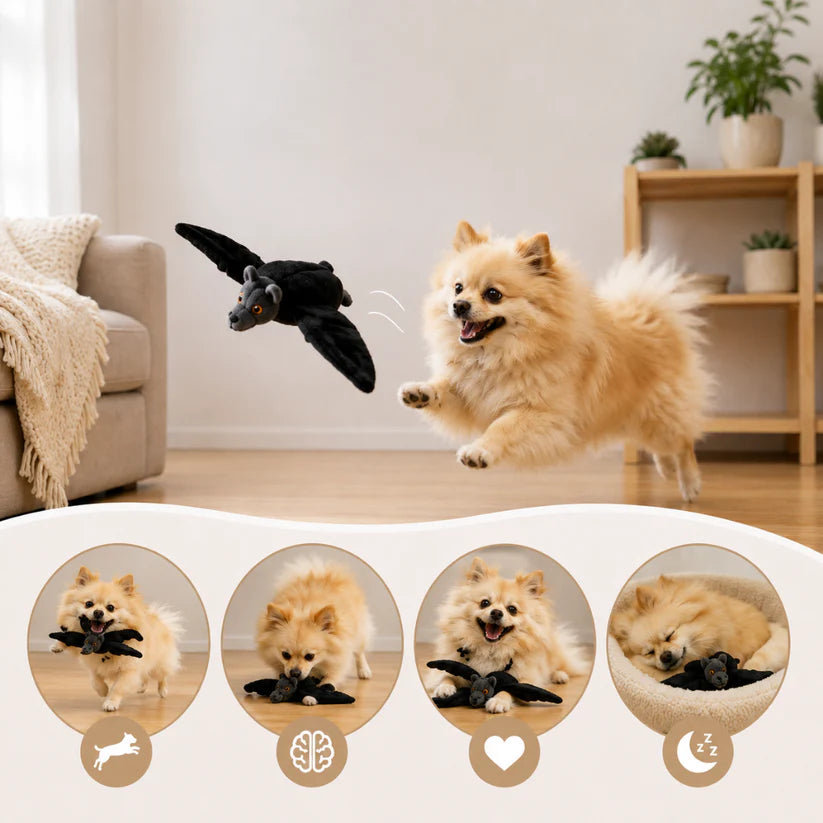 Interactive Flying Bat Toy for Cats