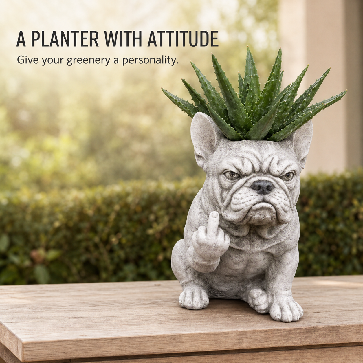 🌱 Funny Bulldog Planter with Attitude – 3 Sassy Styles