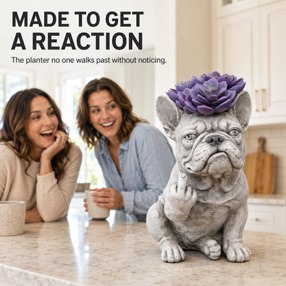 🌱 Funny Bulldog Planter with Attitude – 3 Sassy Styles