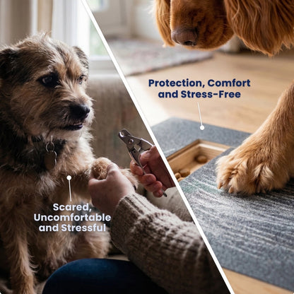 HealthyPaw™ | Stress-Free Nail Care Board