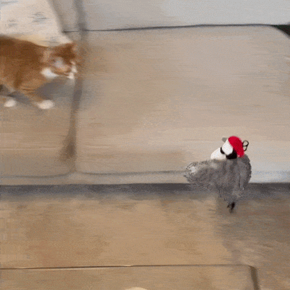 FlappyBirdToy™ Interactive Chirping Cat Toy