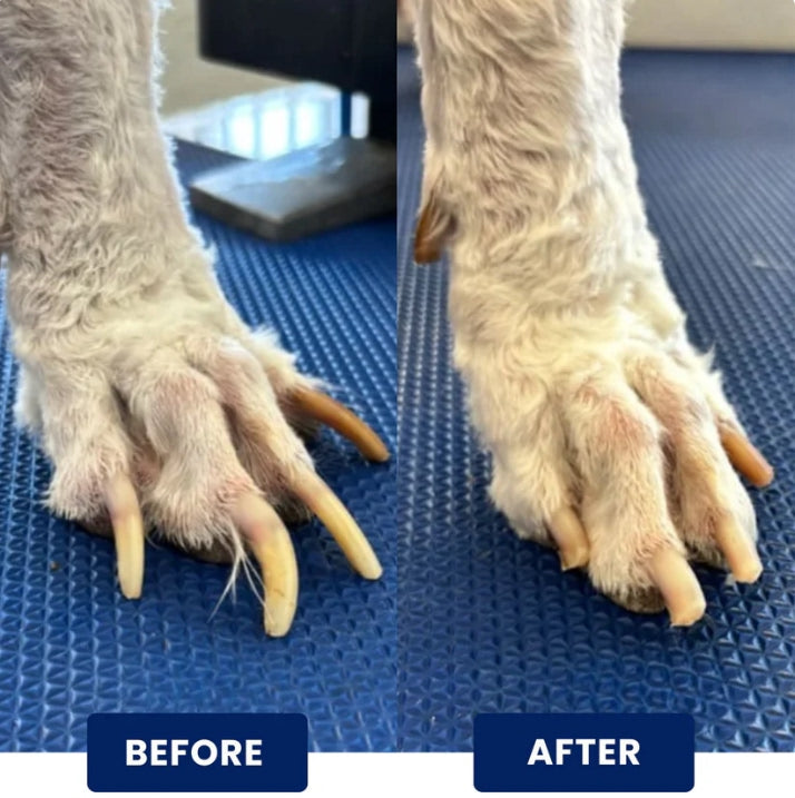 HealthyPaw™ | Stress-Free Nail Care Board